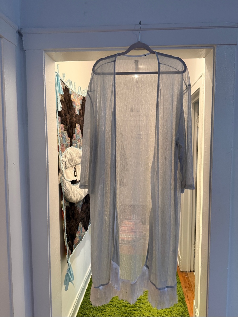 Fun! Sheer, Silver, Shimmer Cover-Up with Fringe- 2XL
